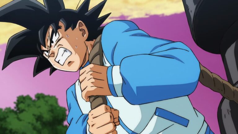 Dragon Ball Super: Beerus